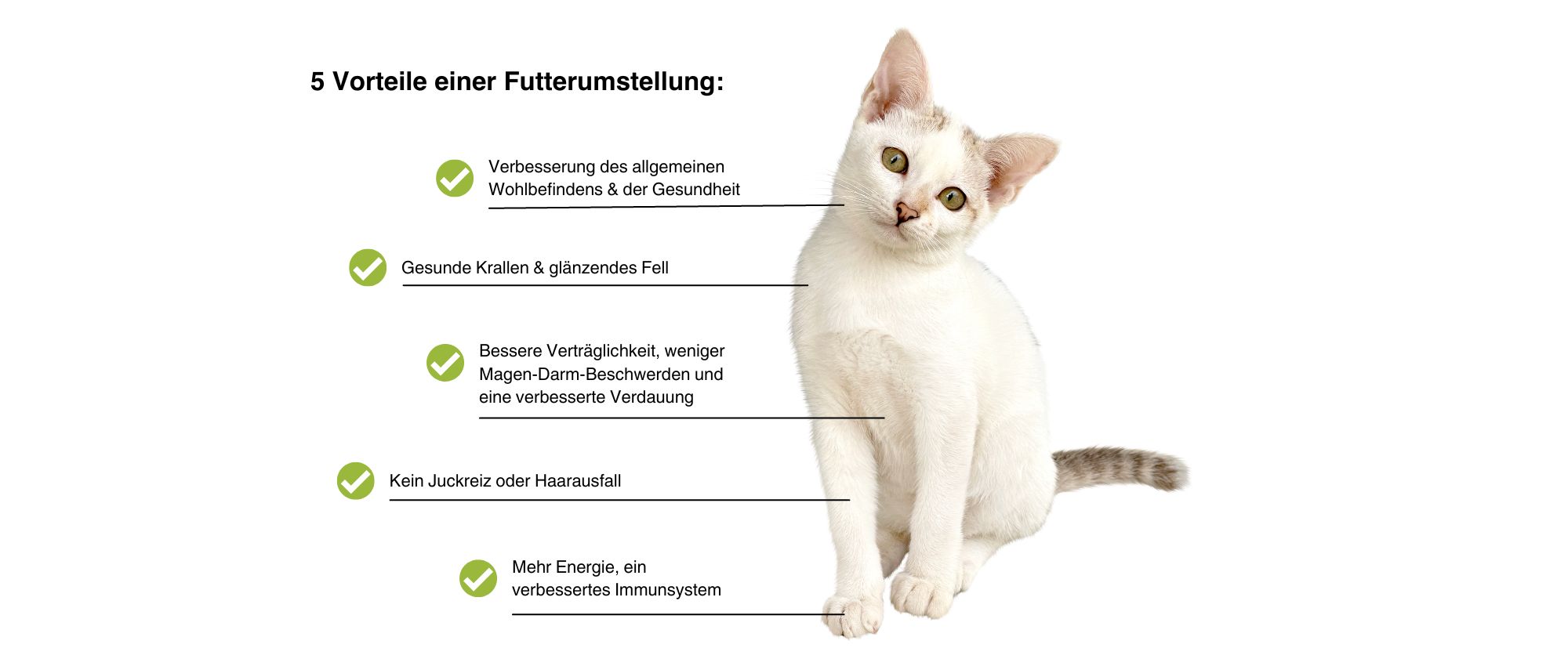 5 Vorteile einer Futterumstellung